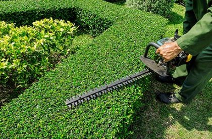garden-maintenance-support-2-466x300-1